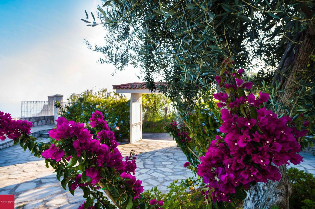 Il Nibbio Apartment Piano di Sorrento Ngoại thất bức ảnh