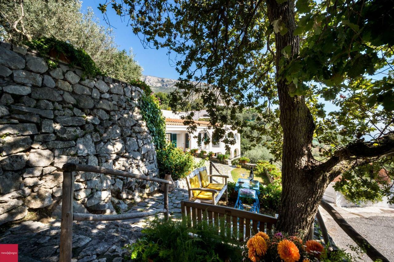 Il Nibbio Apartment Piano di Sorrento Ngoại thất bức ảnh